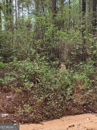 Lot 3 Coleman Chapel Road Swainsboro, GA Plot of land Pending - Photo 1 of 3. Opens carousel modal