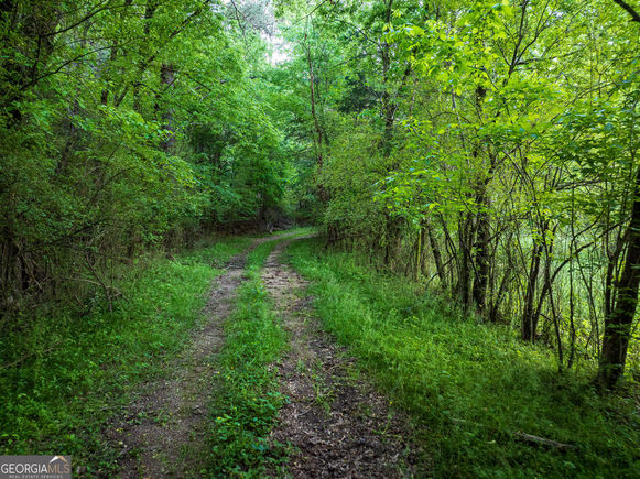 0 Pine Hill Road Rydal, GA Plot of land Sold - Photo 1 of 1. Opens carousel modal