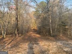 000 (948) Smyrna Church Road Molena, GA Plot of land Active - Photo 1 of 35. Opens carousel modal