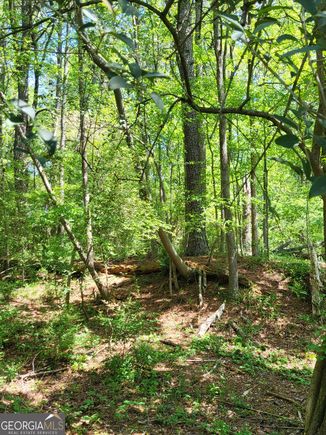 0 NW Grove Park Place NW Atlanta, GA Plot of land Active - Photo 1 of 14. Opens carousel modal