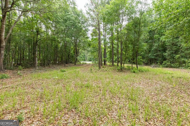 695 Log Landing Road Springfield, GA Plot of land Sold - Photo 1 of 1. Opens carousel modal