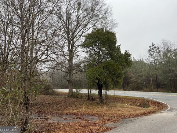 175 Pine Street Woodbury, GA Plot of land Sold - Photo 1 of 1. Opens carousel modal
