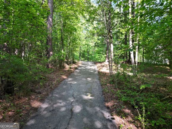 2120 Steele Road Griffin, GA Plot of land Sold - Photo 1 of 1. Opens carousel modal