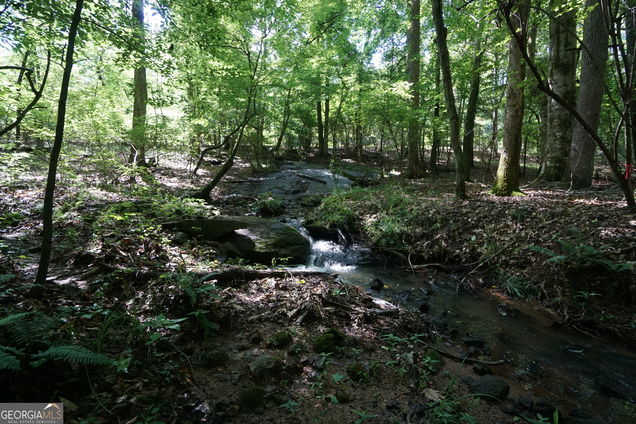 0 Springdale Drive Palmetto, GA Plot of land Active - Photo 1 of 18. Opens carousel modal