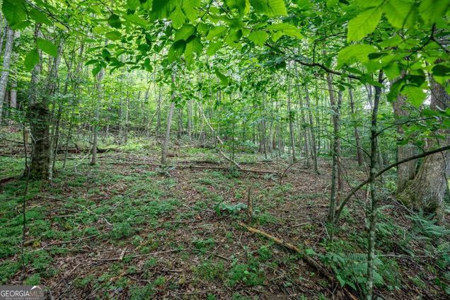Lot 56 Bryant Cove S/D Blairsville, GA Land Active - Photo 1 of 28. Opens carousel modal