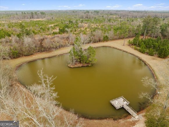 1156 Blue Springs Road Sylvester, GA Plot of land Active - Photo 1 of 12. Opens carousel modal