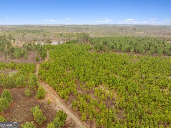 0 Blue Springs Sylvester, GA Plot of land Active - Photo 1 of 7. Opens carousel modal