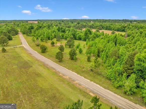 135 Mill Creek Court Sylvester, GA Plot of land Active - Photo 1 of 12. Opens carousel modal