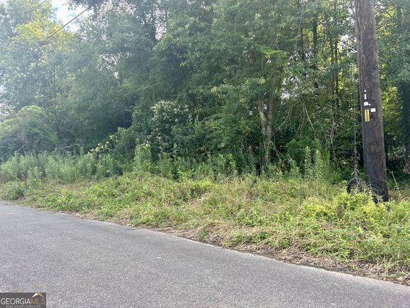 225 Lilly Street Marshallville, GA Plot of land Active - Photo 1 of 3. Opens carousel modal