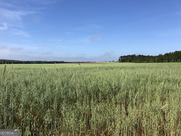 0 Hwy 257 Chester, GA Plot of land Active - Photo 1 of 14. Opens carousel modal