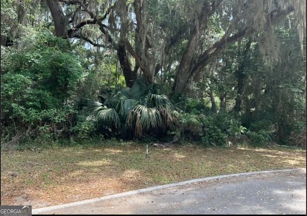 0 Wagner Lane Kingsland, GA Plot of land Active - Photo 1 of 2. Opens carousel modal