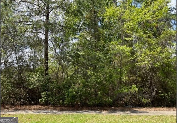 0 Charleston Way Saint Marys, GA Plot of land Active - Photo 1 of 2. Opens carousel modal