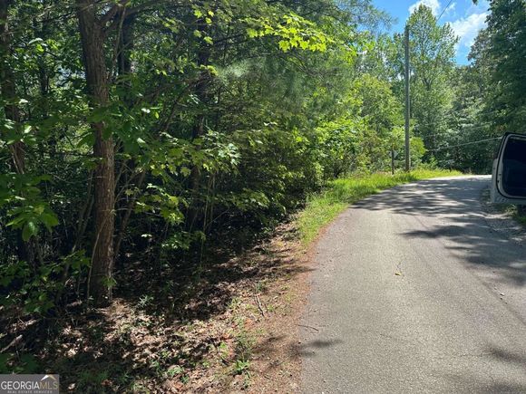 664 Gold Valley Road Sautee Nacoochee, GA Plot of land Active - Photo 1 of 21. Opens carousel modal