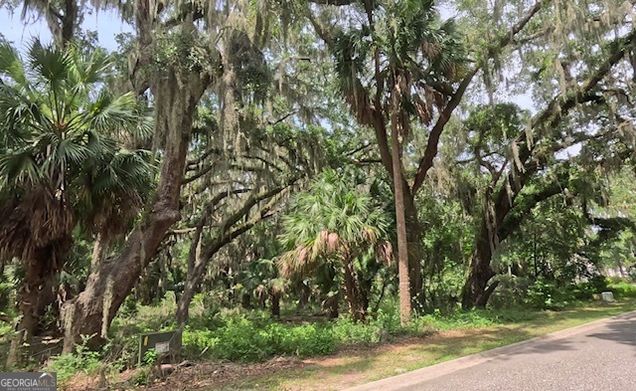 919 Wagner Lane St Marys, GA Plot of land Active - Photo 1 of 4. Opens carousel modal