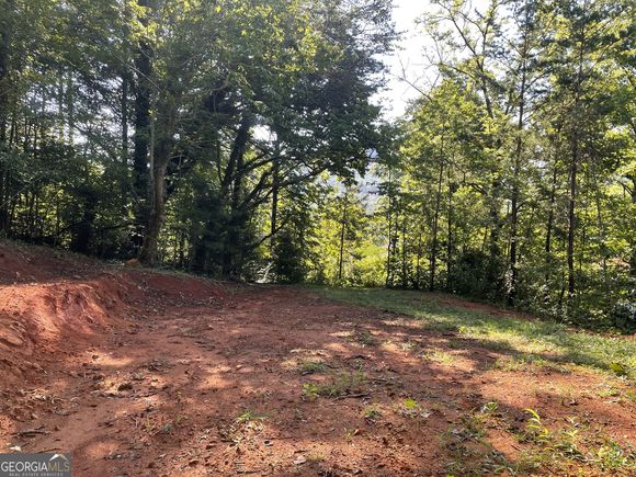 0 Green Street Clayton, GA Plot of land Active - Photo 1 of 17. Opens carousel modal