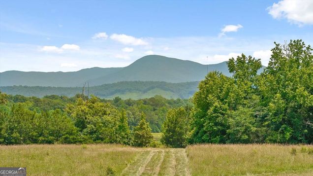 1800 Hwy 286 Chatsworth, GA Plot of land Active - Photo 1 of 92. Opens carousel modal