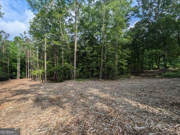 379 Marvin Land Lane Canton, GA Land Active - Photo 1 of 8. Opens carousel modal