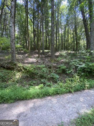 Hemlock Hemlock Trail Blue Ridge, GA Plot of land Active - Photo 1 of 19. Opens carousel modal