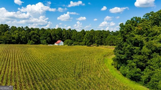 227 Barnes Nursery Road Bronwood, GA Plot of land Active - Photo 1 of 33. Opens carousel modal