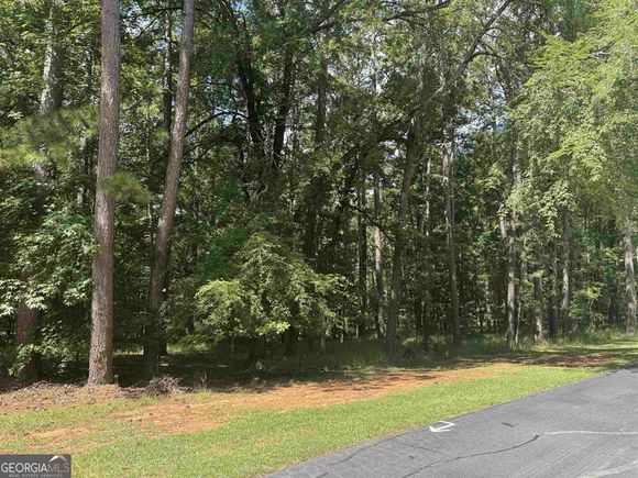 1101 Bennett Springs Drive Greensboro, GA Plot of land Active - Photo 1 of 5. Opens carousel modal