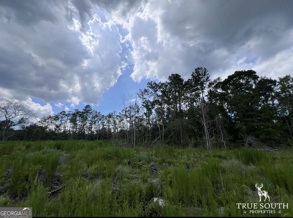 2800 Youngs Island Rd Nw Townsend, GA Plot of land Active - Photo 1 of 16. Opens carousel modal