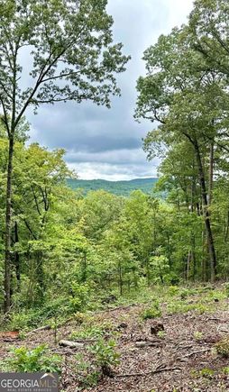 Lot 314 Pebble Trace Unit 314 Talking Rock, GA Plot of land Active - Photo 1 of 13. Opens carousel modal