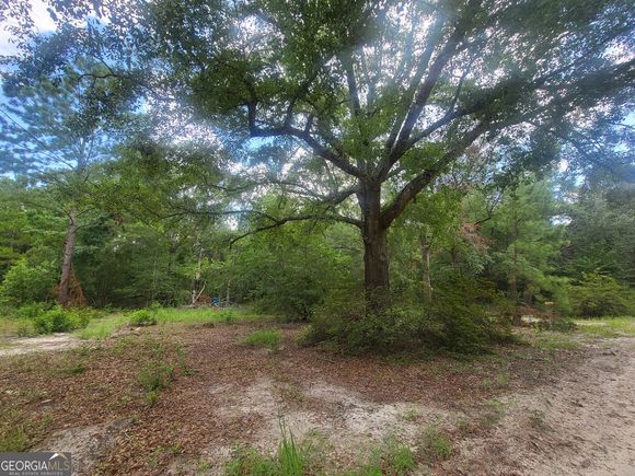 850 O F Lanier Road Pembroke, GA Plot of land Active - Photo 1 of 5. Opens carousel modal