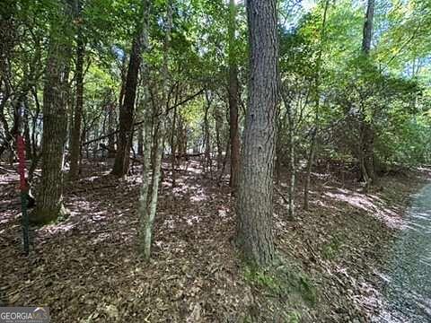 Plank Tool Raft Lot 1 Laurelwood Cir, Murphy, NC 28906 | MLS# 10871082