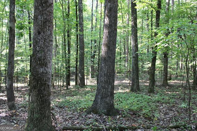 0000 Greenesboro Rd Nw, Union Point, GA 30669 | MLS# 10879295