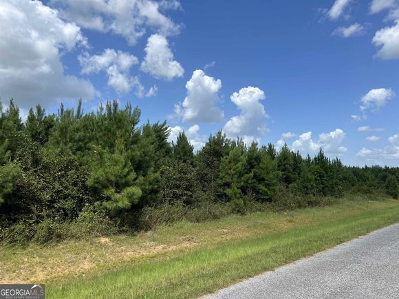 Lot 11 Old Vienna Road Elko, GA Plot of land Sold - Photo 1 of 1. Opens carousel modal
