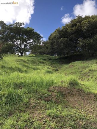 #41104832 San Rafael, CA Land Active - Photo 1 of 1. Opens carousel modal