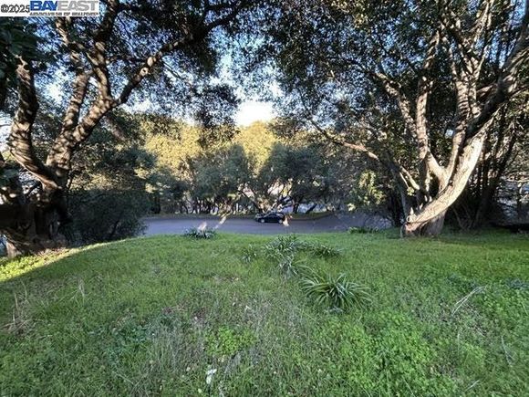 Morse Ave Hayward, CA Land Active - Photo 1 of 2. Opens carousel modal