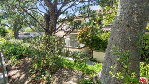 1666 Palisades Drive