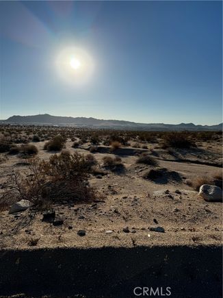 0 Rice Avenue Joshua Tree, CA Land Active - Photo 1 of 1. Opens carousel modal