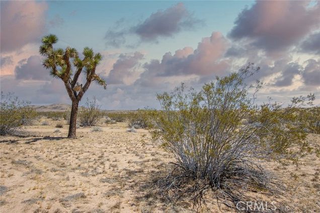 4444 Cielito Drive Joshua Tree, CA Plot of land Active - Photo 1 of 16. Opens carousel modal