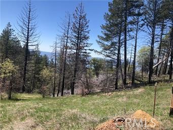 6847 High Valley Road Lucerne, CA Land Active - Photo 1 of 16. Opens carousel modal