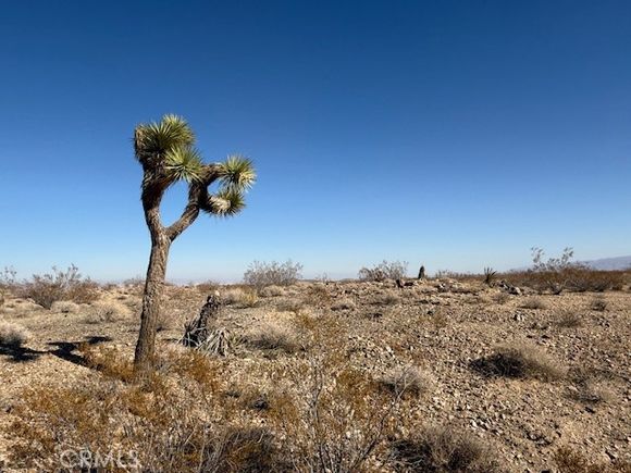 2160 Juniper Ave. Joshua Tree, CA Land Active - Photo 1 of 14. Opens carousel modal