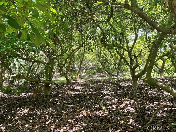 4 Los Gatos Road Temecula, CA Land Pending - Photo 1 of 19. Opens carousel modal