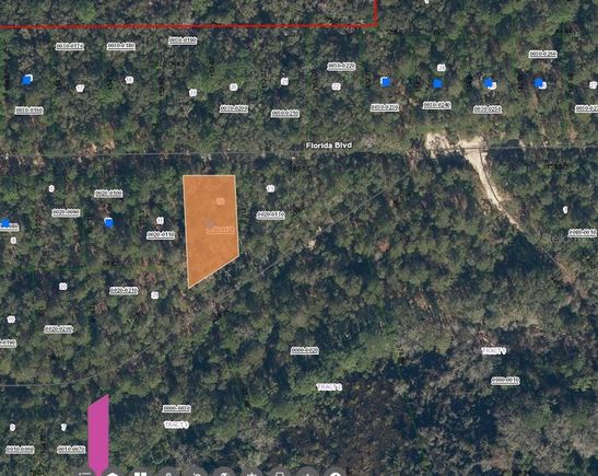 135 Florida Avenue INTERLACHEN, FL Plot of land Active - Photo 1 of 3. Opens carousel modal