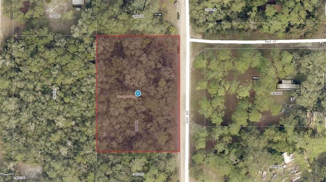 01 17 28 0100 000 05600 East Avenue PAISLEY, FL Plot of land Sold - Photo 1 of 1. Opens carousel modal