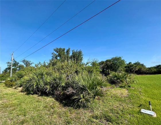 13306 High Springs Avenue PORT CHARLOTTE, FL Plot of land Active - Photo 1 of 4. Opens carousel modal