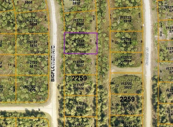 Big Flower Avenue NORTH PORT, FL Plot of land Sold - Photo 1 of 1. Opens carousel modal