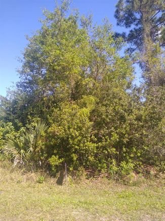 306 Mcdill Drive PORT CHARLOTTE, FL Land Active - Photo 1 of 3. Opens carousel modal