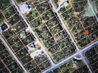 1194 Hammacher Lane PORT CHARLOTTE, FL Plot of land Active - Photo 1 of 1. Opens carousel modal