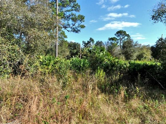 Longfellow Lane NORTH PORT, FL Land Active - Photo 1 of 2. Opens carousel modal