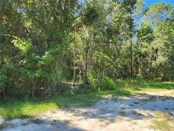143 Atkins Road GEORGETOWN, FL Plot of land Sold - Photo 1 of 1. Opens carousel modal