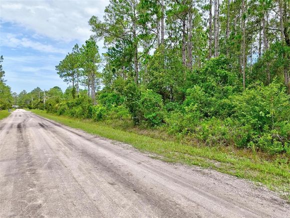 4168 Fruitwood Avenue BUNNELL, FL Plot of land Active - Photo 1 of 19. Opens carousel modal