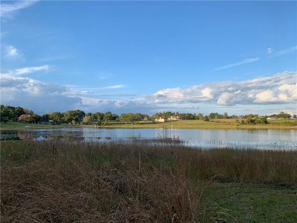 000 Bay Lake Road EUSTIS, FL Plot of land Sold - Photo 1 of 1. Opens carousel modal