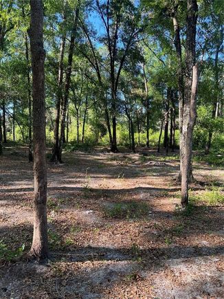 SW 118th Lane WEBSTER, FL Plot of land Sold - Photo 1 of 1. Opens carousel modal