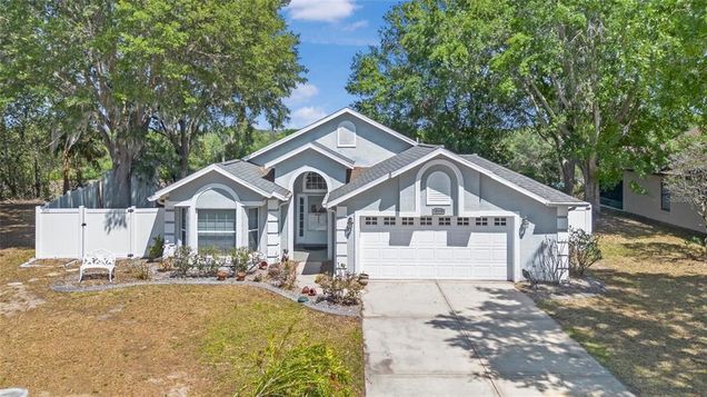 10339 Patrick Drive LEESBURG, FL House Active - Photo 1 of 25. Opens carousel modal